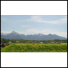 20100616_846345.jpg.thumb