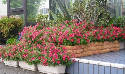 20100703_912179