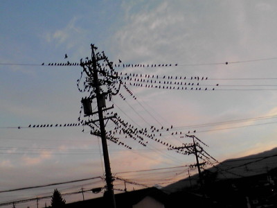 20101202_1176461