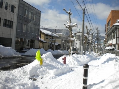 20110216_1694934