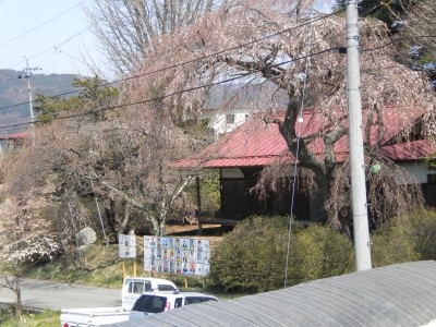 20110425_1789325
