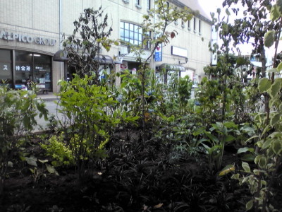 20110707_1886221