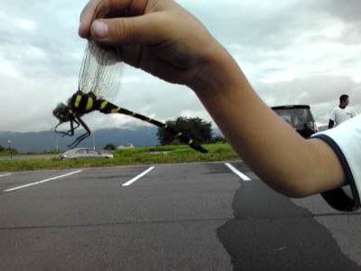20110801_1922477
