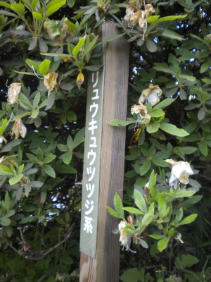 20120529_2271317