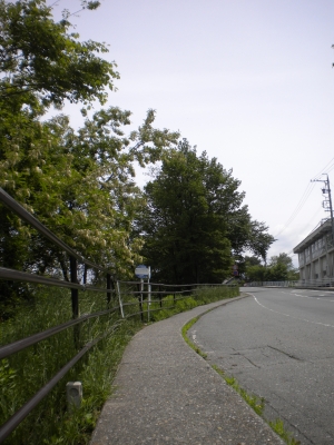 20120530_2272250