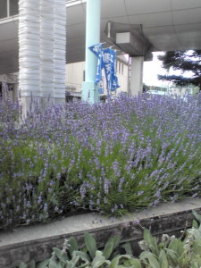 20120730_2328703
