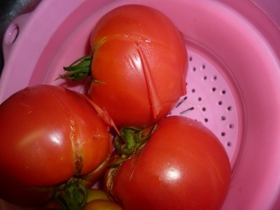 20120830_2354739