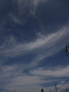 20120905_2360226