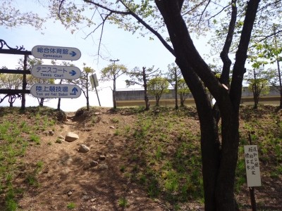 20130509_612121