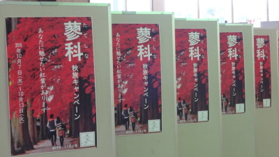 DSC02395