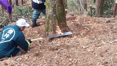 ~~この鋸は地域に住む鍛冶屋さんが作成したもの~~
