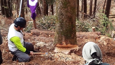 ~~受け口で倒れる方向を調整中~~