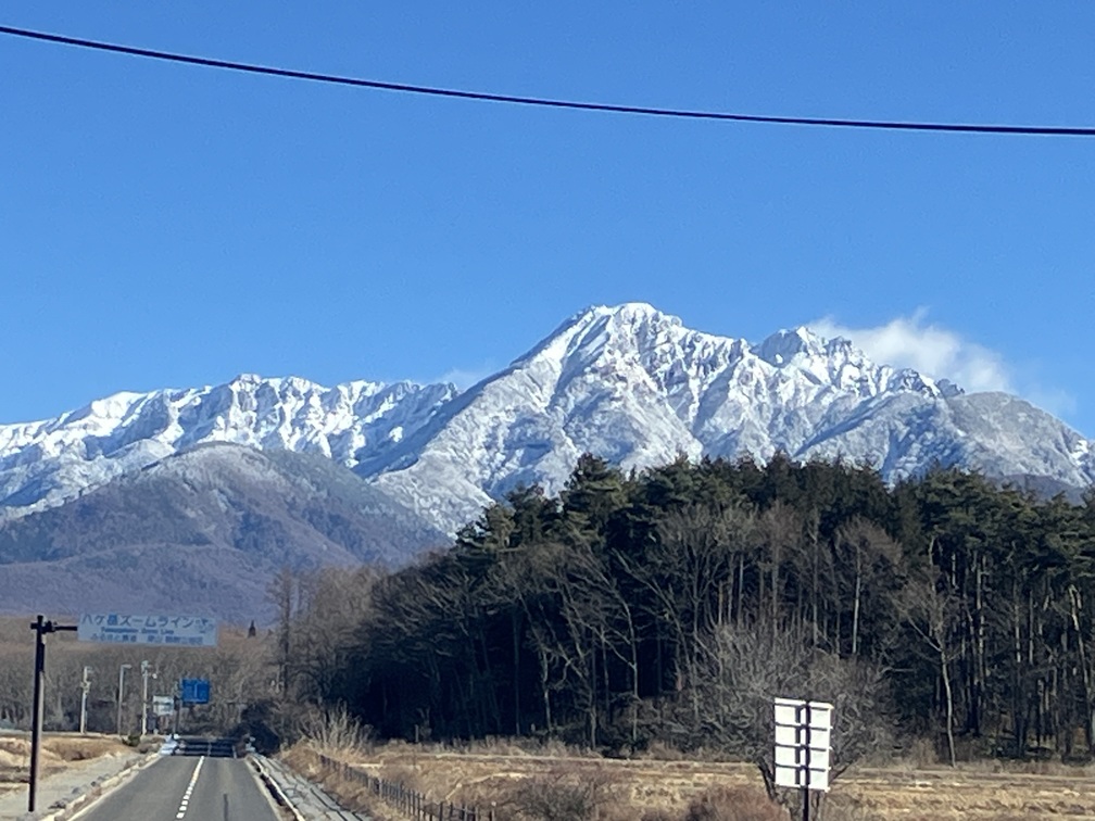 移住者の声